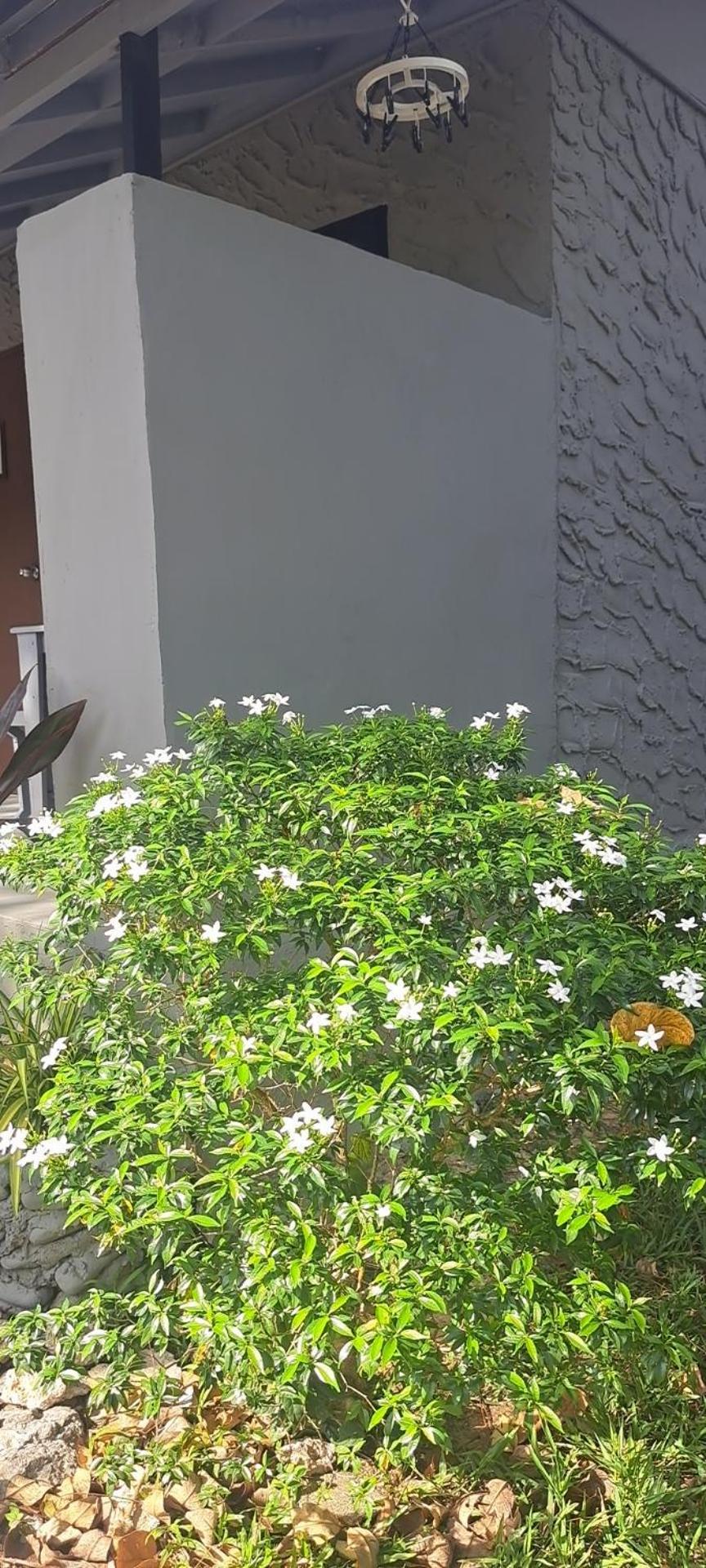 Siam Flora Resort Koh Lanta Ngoại thất bức ảnh